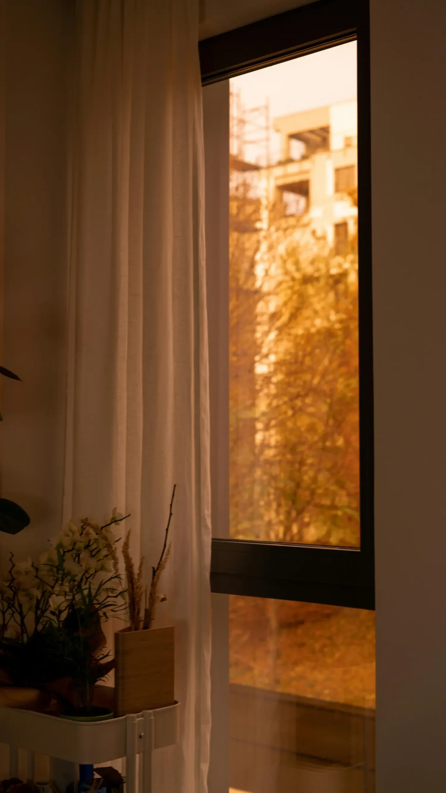 Großzügige Glasfassade eines modernen, energieeffizienten Gebäudes